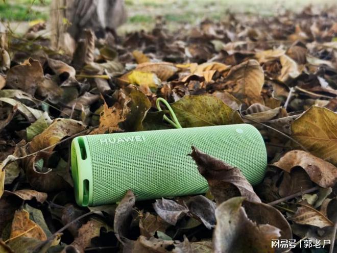 WEI Sound Joy 2去拥抱自然K8凯发集团双11户外音箱推荐带HUA(图5)